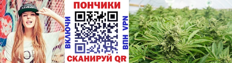 Канабис индика  Болгар 